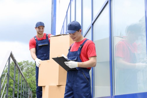 Professional man and van helping with apartment furniture